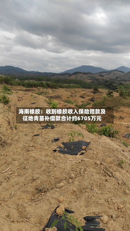 海南橡胶：收到橡胶收入保险赔款及征地青苗补偿款合计约6705万元-第3张图片