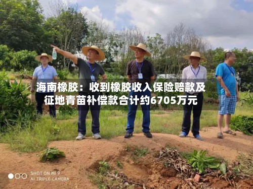 海南橡胶：收到橡胶收入保险赔款及征地青苗补偿款合计约6705万元-第2张图片