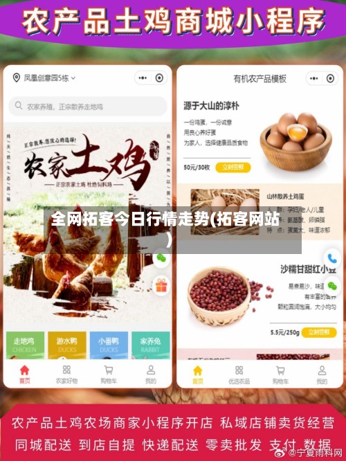 全网拓客今日行情走势(拓客网站)-第2张图片