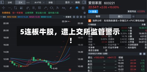5连板牛股	，遭上交所监管警示！-第2张图片