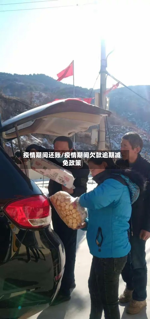 疫情期间还账/疫情期间欠款逾期减免政策