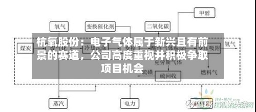 杭氧股份：电子气体属于新兴且有前景的赛道，公司高度重视并积极争取项目机会-第2张图片