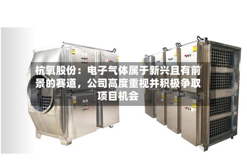 杭氧股份：电子气体属于新兴且有前景的赛道	，公司高度重视并积极争取项目机会-第3张图片