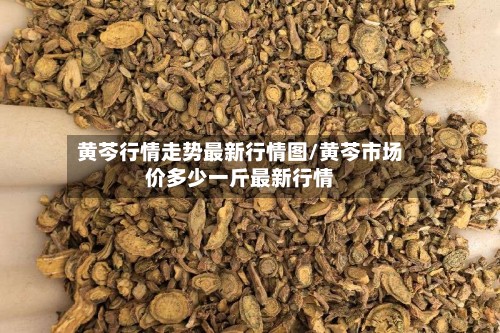 黄芩行情走势最新行情图/黄芩市场价多少一斤最新行情-第2张图片
