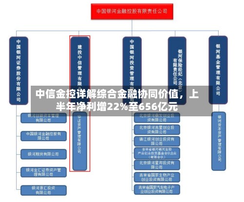 中信金控详解综合金融协同价值，上半年净利增22%至656亿元-第2张图片