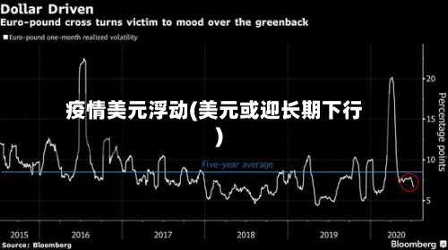 疫情美元浮动(美元或迎长期下行)