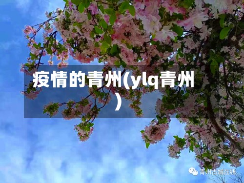 疫情的青州(ylq青州)