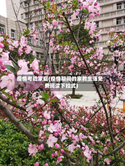 疫情考验家庭(疫情期间的家教生活免费阅读下拉式)-第2张图片