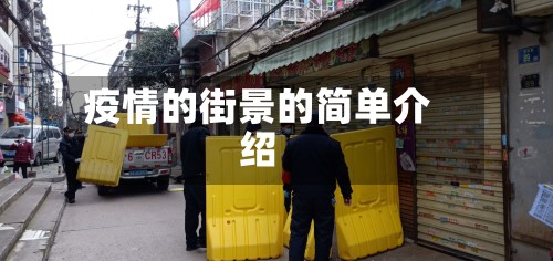 疫情的街景的简单介绍-第2张图片