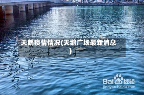 天鹅疫情情况(天鹅广场最新消息)-第2张图片
