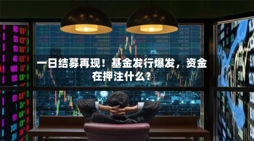 一日结募再现！基金发行爆发，资金在押注什么？-第2张图片