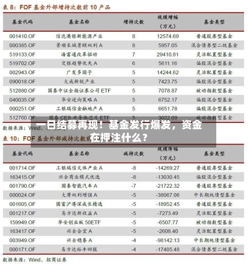 一日结募再现！基金发行爆发，资金在押注什么？-第3张图片
