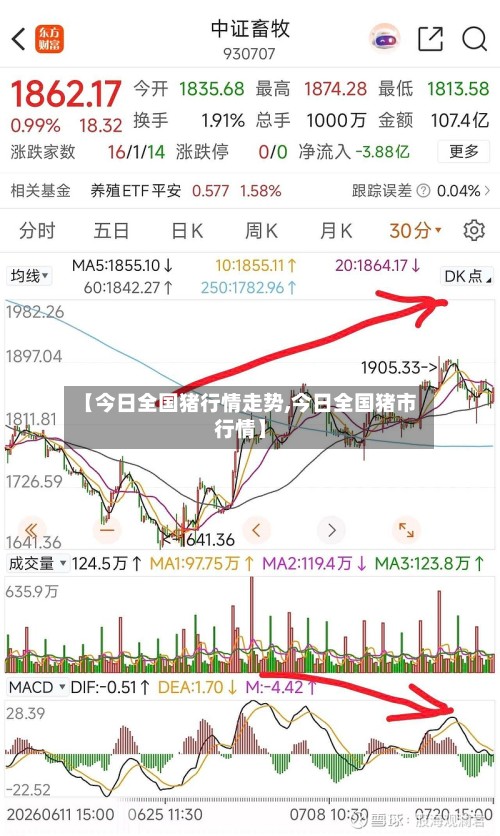 【今日全国猪行情走势,今日全国猪市行情】