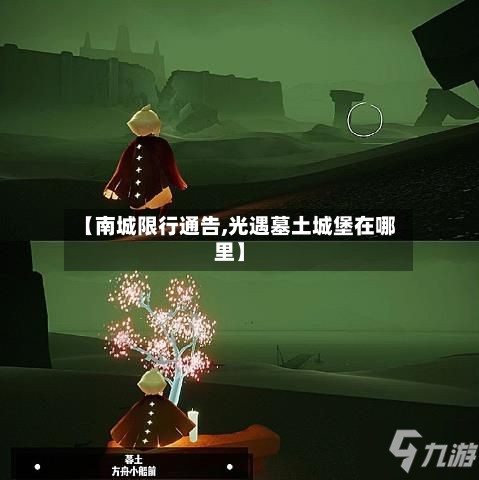 【南城限行通告,光遇墓土城堡在哪里】-第2张图片