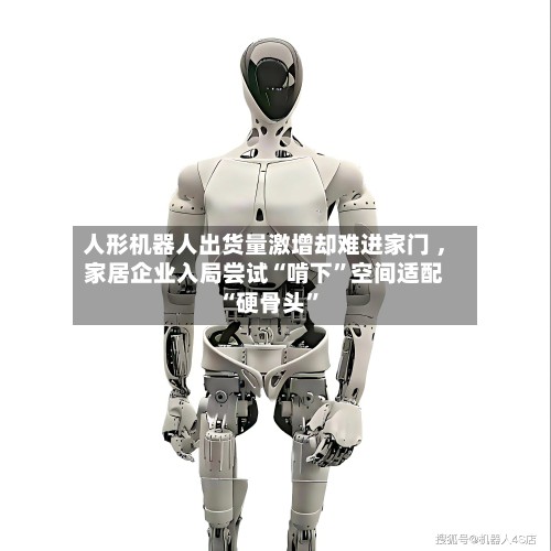 人形机器人出货量激增却难进家门 ，家居企业入局尝试“啃下”空间适配“硬骨头”-第2张图片