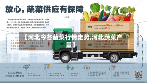 【河北今冬蔬菜行情走势,河北蔬菜产量】