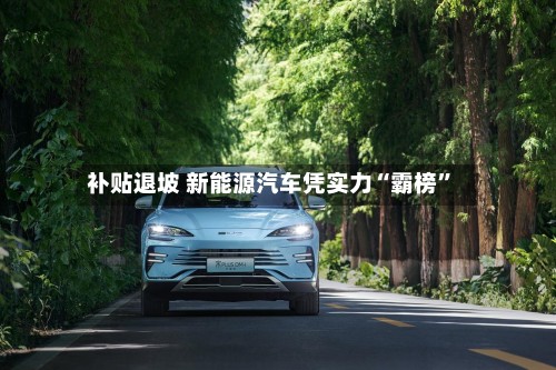 补贴退坡 新能源汽车凭实力“霸榜”-第3张图片
