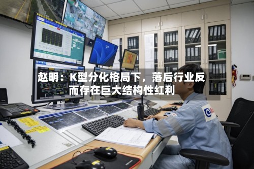 赵明：K型分化格局下，落后行业反而存在巨大结构性红利-第3张图片