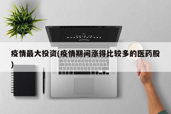 疫情最大投资(疫情期间涨得比较多的医药股)